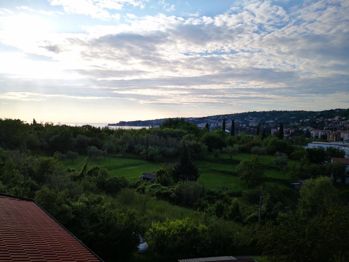 Solmar, Apartment With Big Terrace Near Nature Πορτορόζ Εξωτερικό φωτογραφία